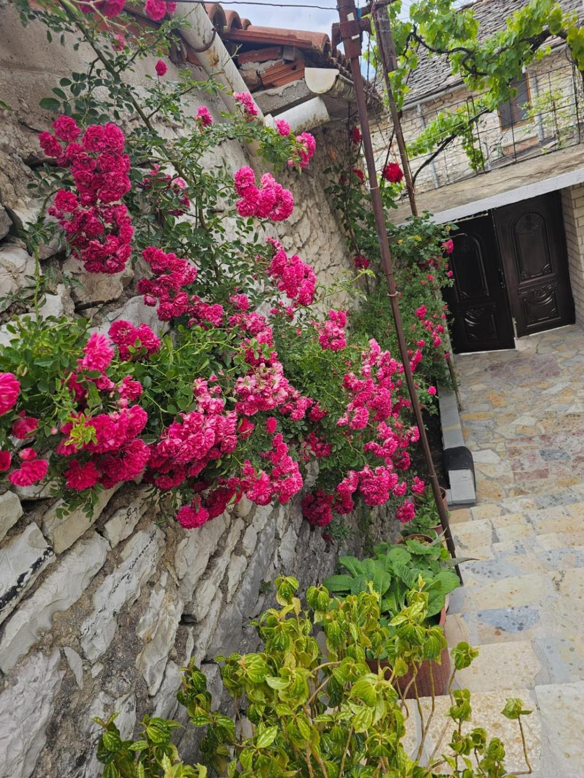 Luigi Guest House Gjirokaster Exterior photo