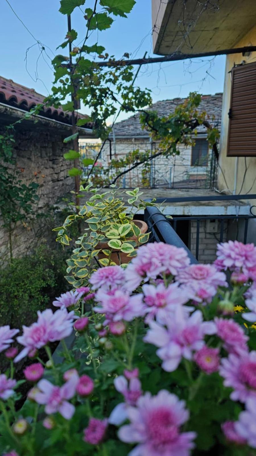 Luigi Guest House Gjirokaster Exterior photo